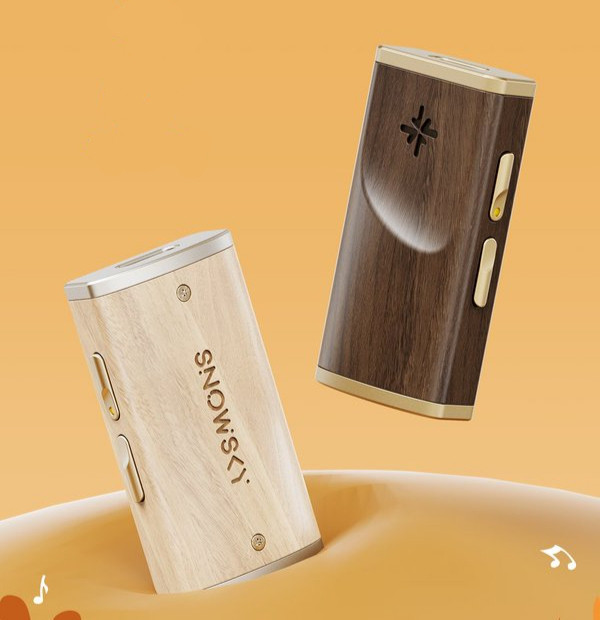 FiiO Snowsky Melody Portable DAC & Amp